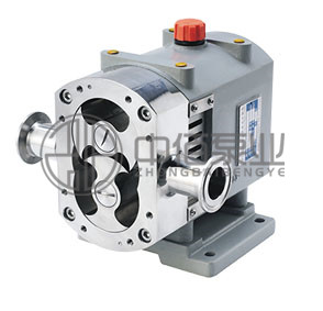 轉子泵 http://machinerysurgeon.com/cqzx/zzb/